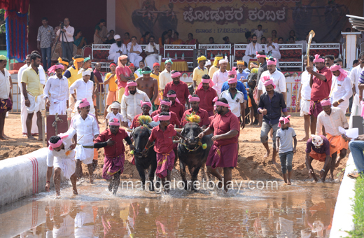 Devu Poonja Jodukare Kambala